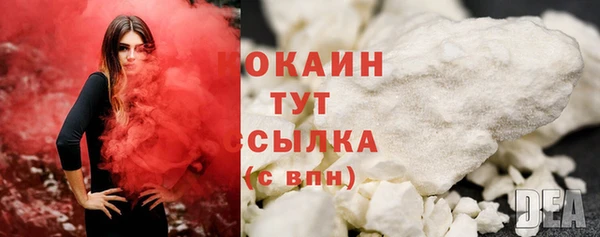 стаф Касимов