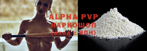 стаф Касимов