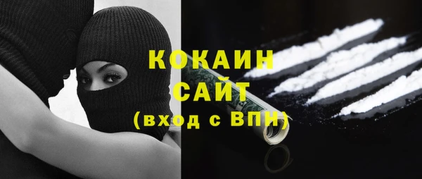 стаф Касимов