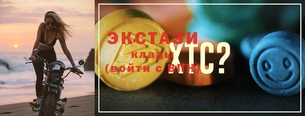 стаф Касимов