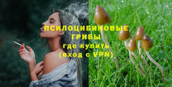 Альфа ПВП Карпинск
