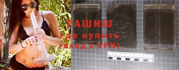 стаф Касимов