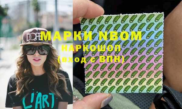 стаф Касимов