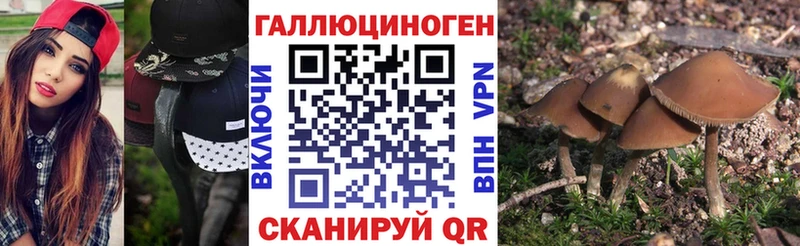 Галлюциногенные грибы Magic Shrooms Усть-Катав
