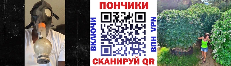 Канабис планчик Усть-Катав